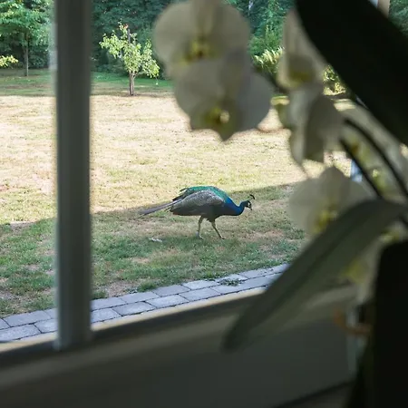 By The Bridge Bed & Breakfast Middelfart